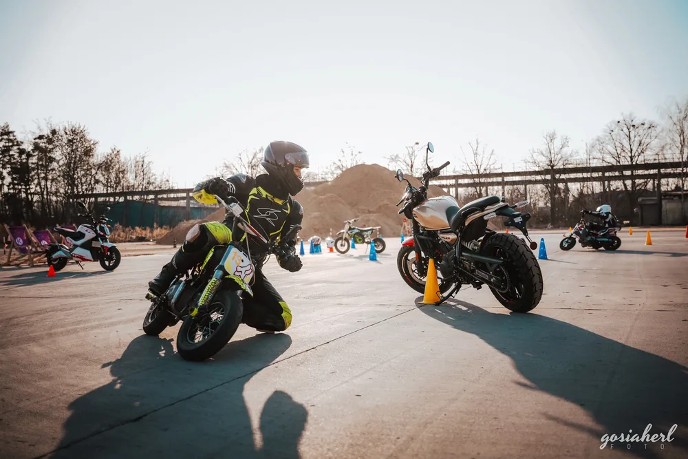 Oferta dla dorosłych